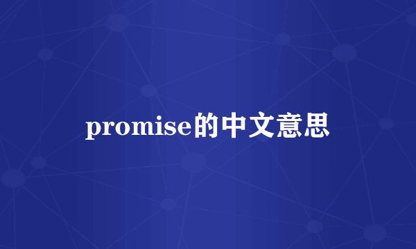 promise的中文意思