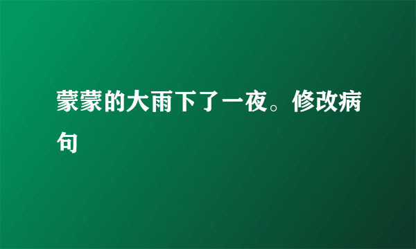 蒙蒙的大雨下了一夜。修改病句