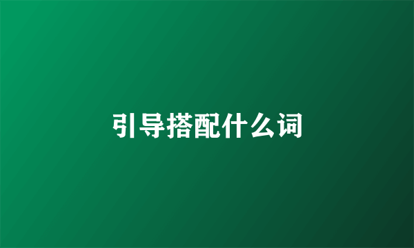 引导搭配什么词