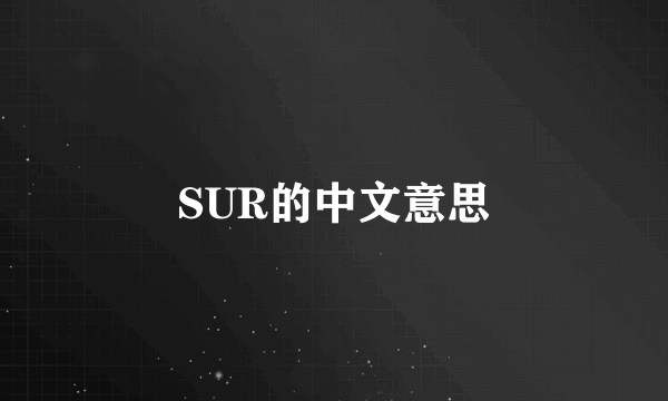 SUR的中文意思