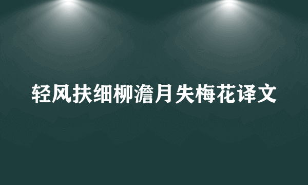 轻风扶细柳澹月失梅花译文