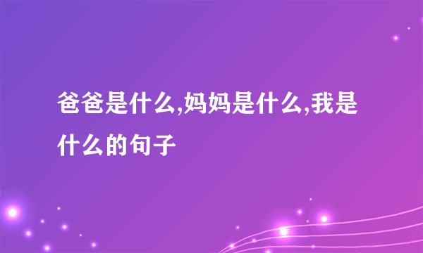 爸爸是什么,妈妈是什么,我是什么的句子
