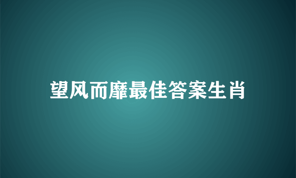 望风而靡最佳答案生肖