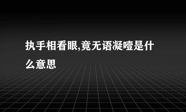 执手相看眼,竟无语凝噎是什么意思