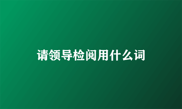 请领导检阅用什么词