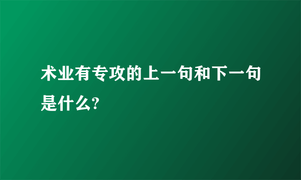 术业有专攻的上一句和下一句是什么?