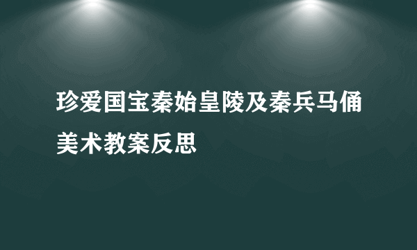 珍爱国宝秦始皇陵及秦兵马俑美术教案反思