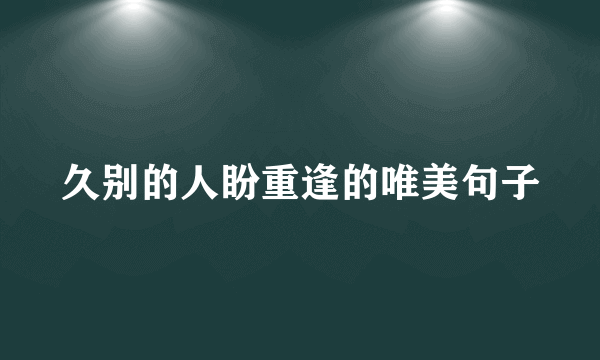 久别的人盼重逢的唯美句子