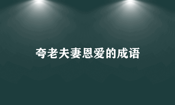 夸老夫妻恩爱的成语