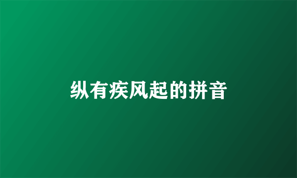纵有疾风起的拼音