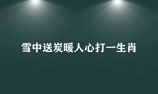 雪中送炭暖人心打一生肖