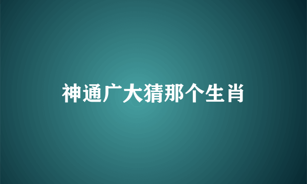 神通广大猜那个生肖