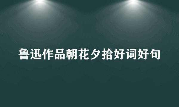 鲁迅作品朝花夕拾好词好句