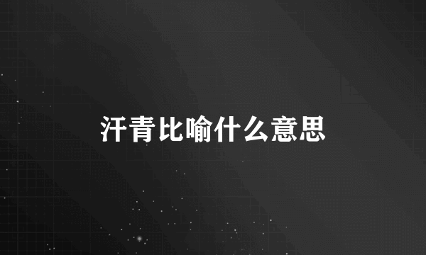 汗青比喻什么意思