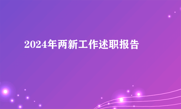 2024年两新工作述职报告