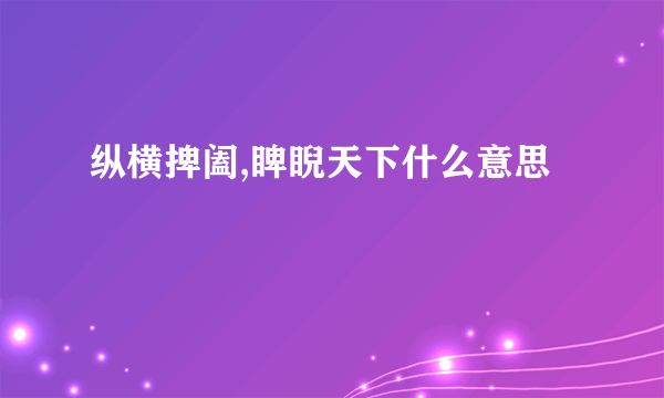 纵横捭阖,睥睨天下什么意思