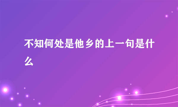不知何处是他乡的上一句是什么