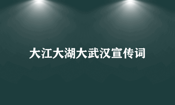 大江大湖大武汉宣传词