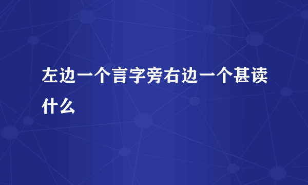 左边一个言字旁右边一个甚读什么
