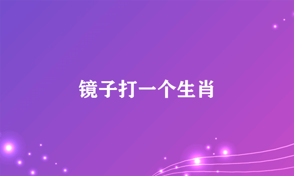 镜子打一个生肖