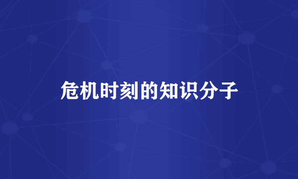 危机时刻的知识分子