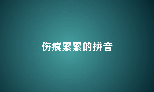 伤痕累累的拼音