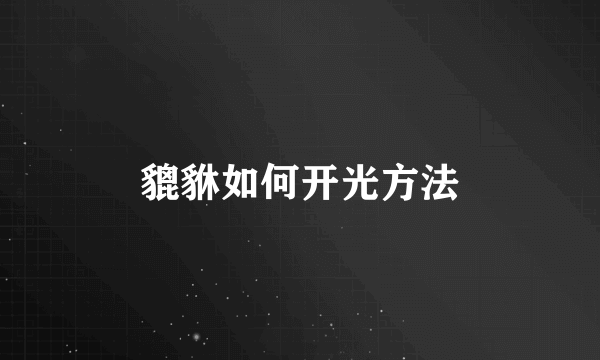 貔貅如何开光方法