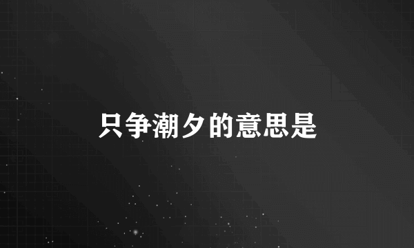 只争潮夕的意思是