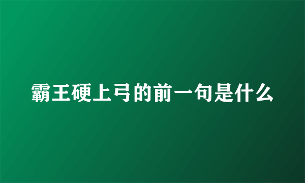 霸王硬上弓的前一句是什么