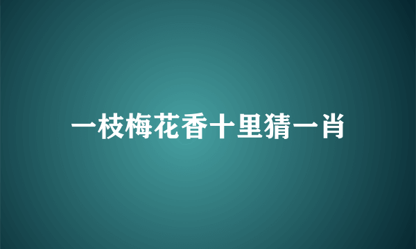 一枝梅花香十里猜一肖