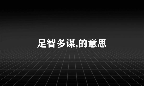 足智多谋,的意思