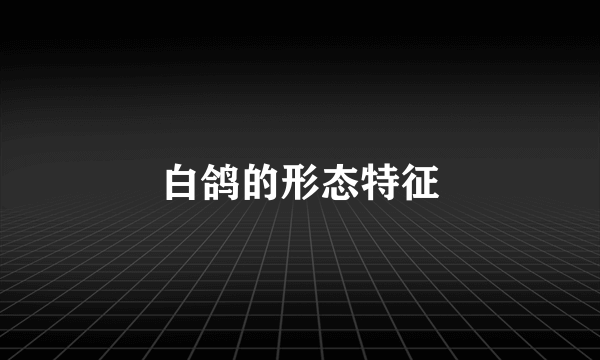 白鸽的形态特征