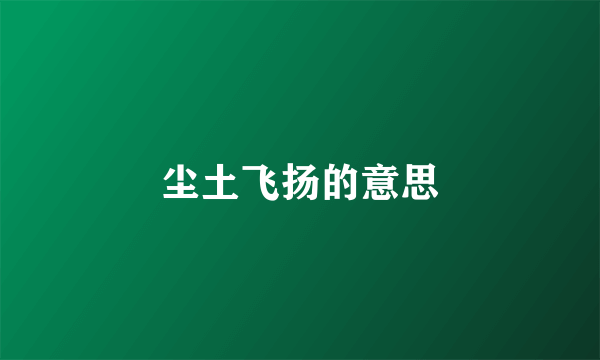 尘土飞扬的意思