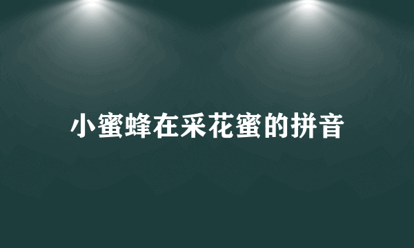 小蜜蜂在采花蜜的拼音