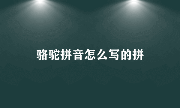骆驼拼音怎么写的拼