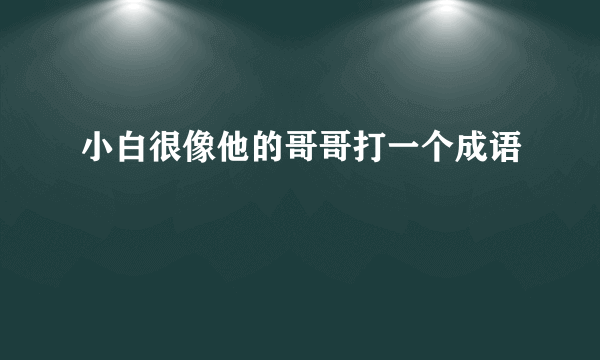小白很像他的哥哥打一个成语