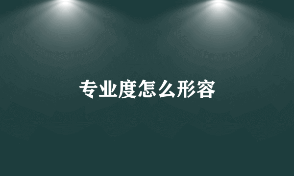 专业度怎么形容