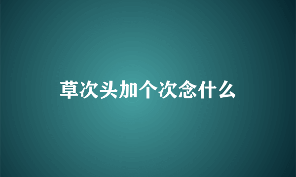 草次头加个次念什么
