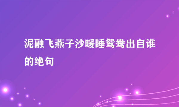 泥融飞燕子沙暖睡鸳鸯出自谁的绝句