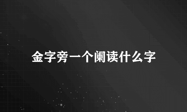 金字旁一个阑读什么字