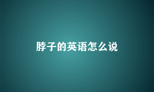 脖子的英语怎么说