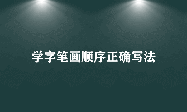 学字笔画顺序正确写法