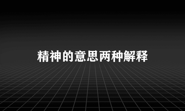 精神的意思两种解释