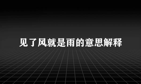 见了风就是雨的意思解释