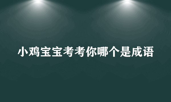 小鸡宝宝考考你哪个是成语