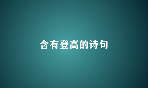 含有登高的诗句