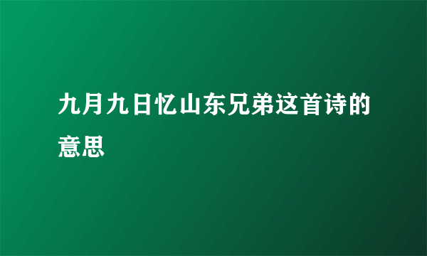 九月九日忆山东兄弟这首诗的意思