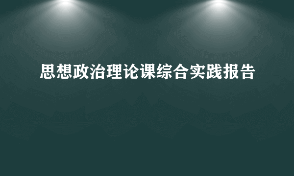 思想政治理论课综合实践报告