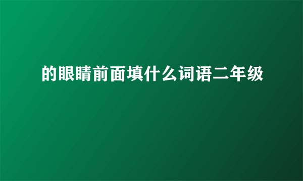 的眼睛前面填什么词语二年级