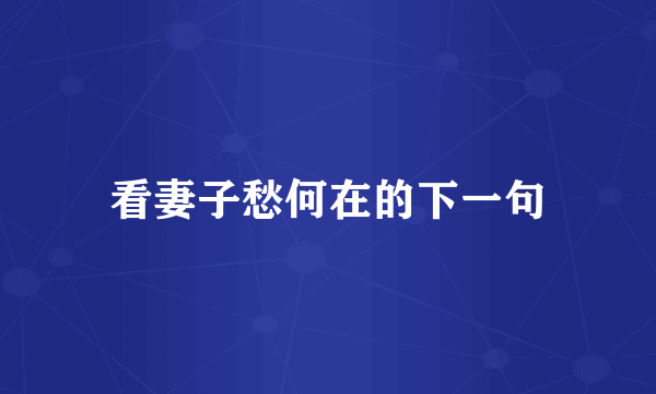 看妻子愁何在的下一句
